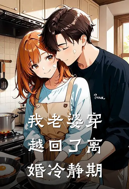 我老婆穿越回了离婚冷静期