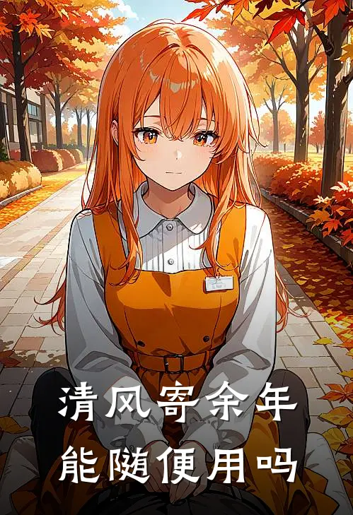 清风寄余年能随便用吗